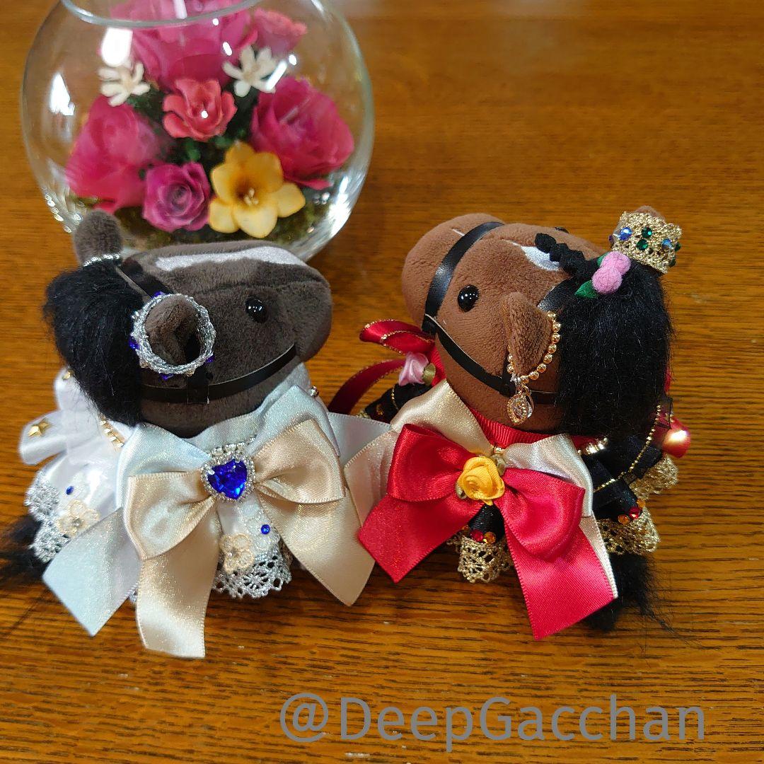 リバティアイランド　アイドルホースドレス・マント　Sサイズ