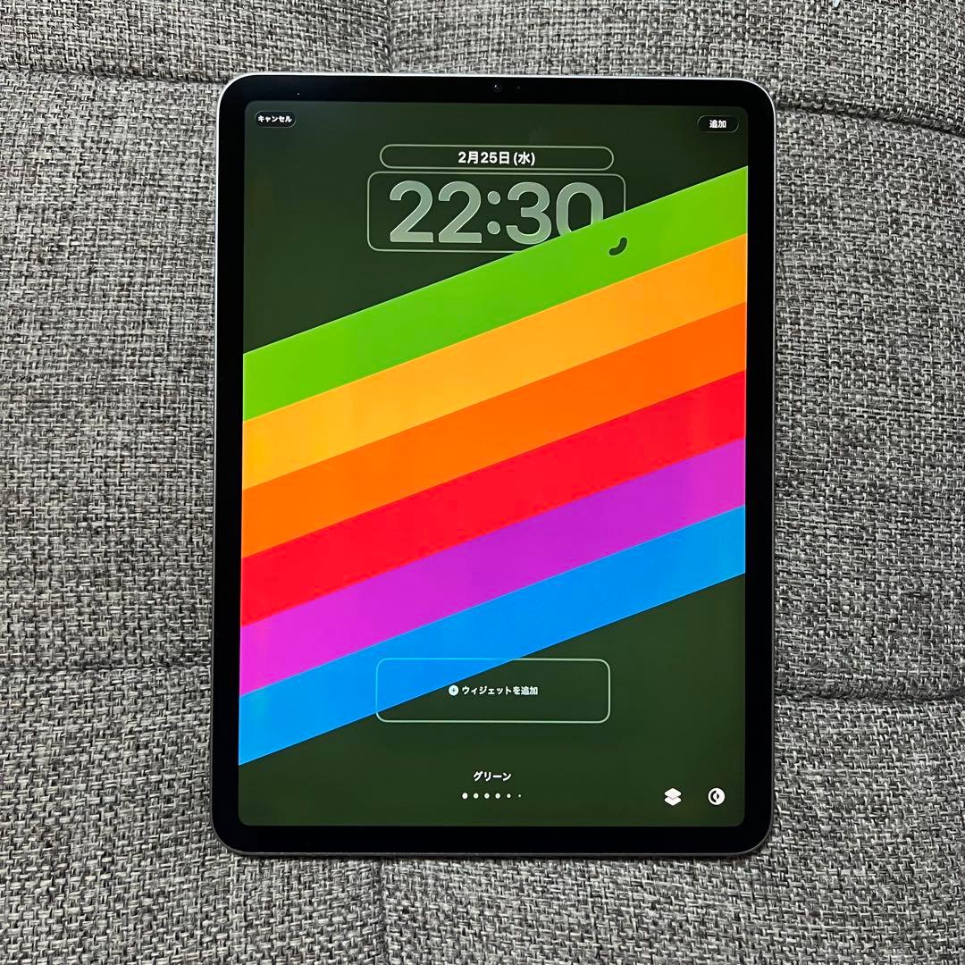 iPad Pro 11 第4世代 256GB WiFi
