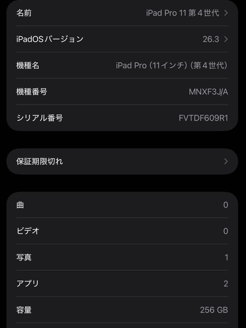iPad Pro 11 第4世代 256GB WiFi