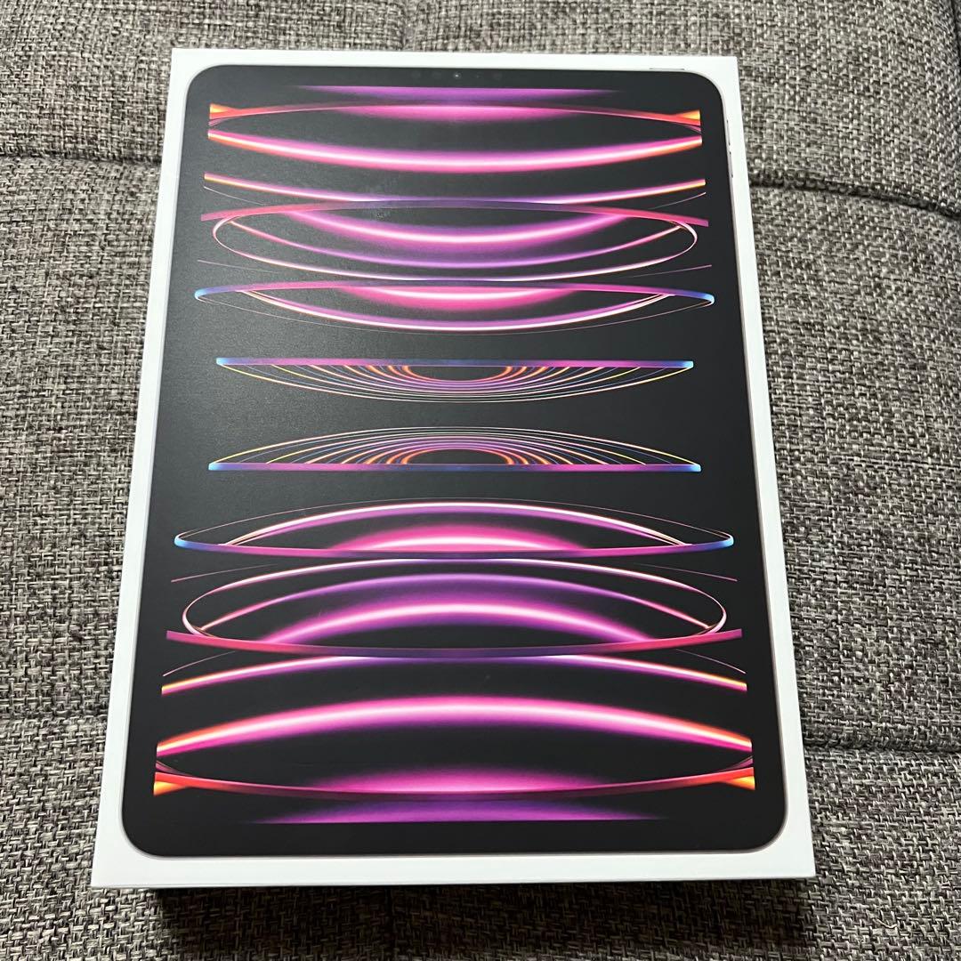 iPad Pro 11 第4世代 256GB WiFi