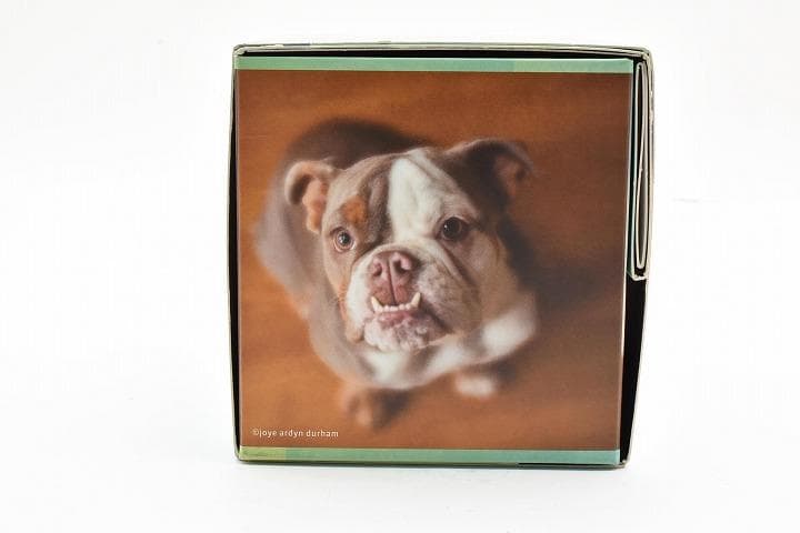 15247E ★新品★ レンズベビー 56mm F1.6 LENSBABY