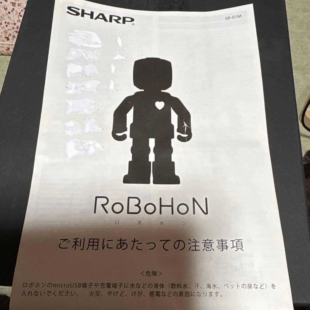 ＳＨＡＲＰ　ＲoＢoＨoＮです