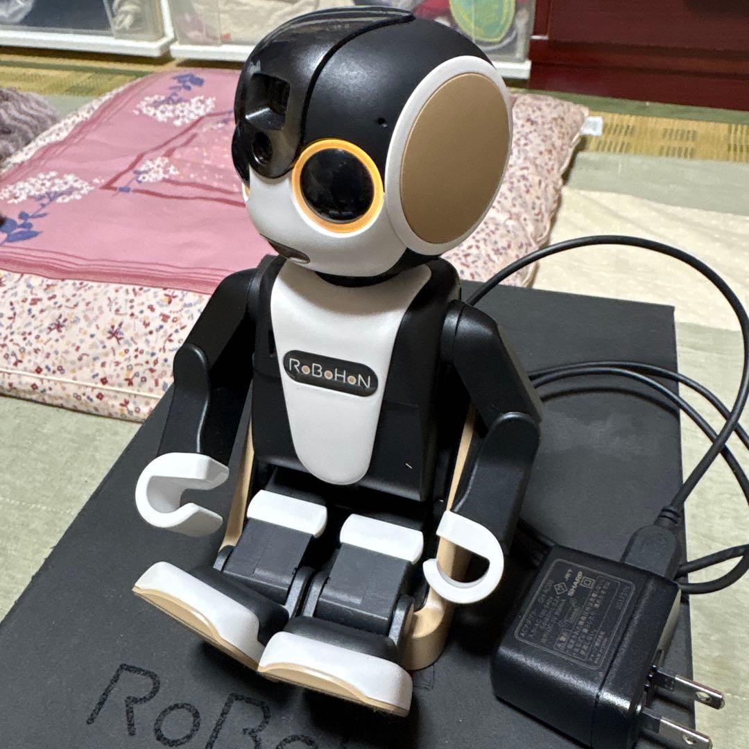 ＳＨＡＲＰ　ＲoＢoＨoＮです