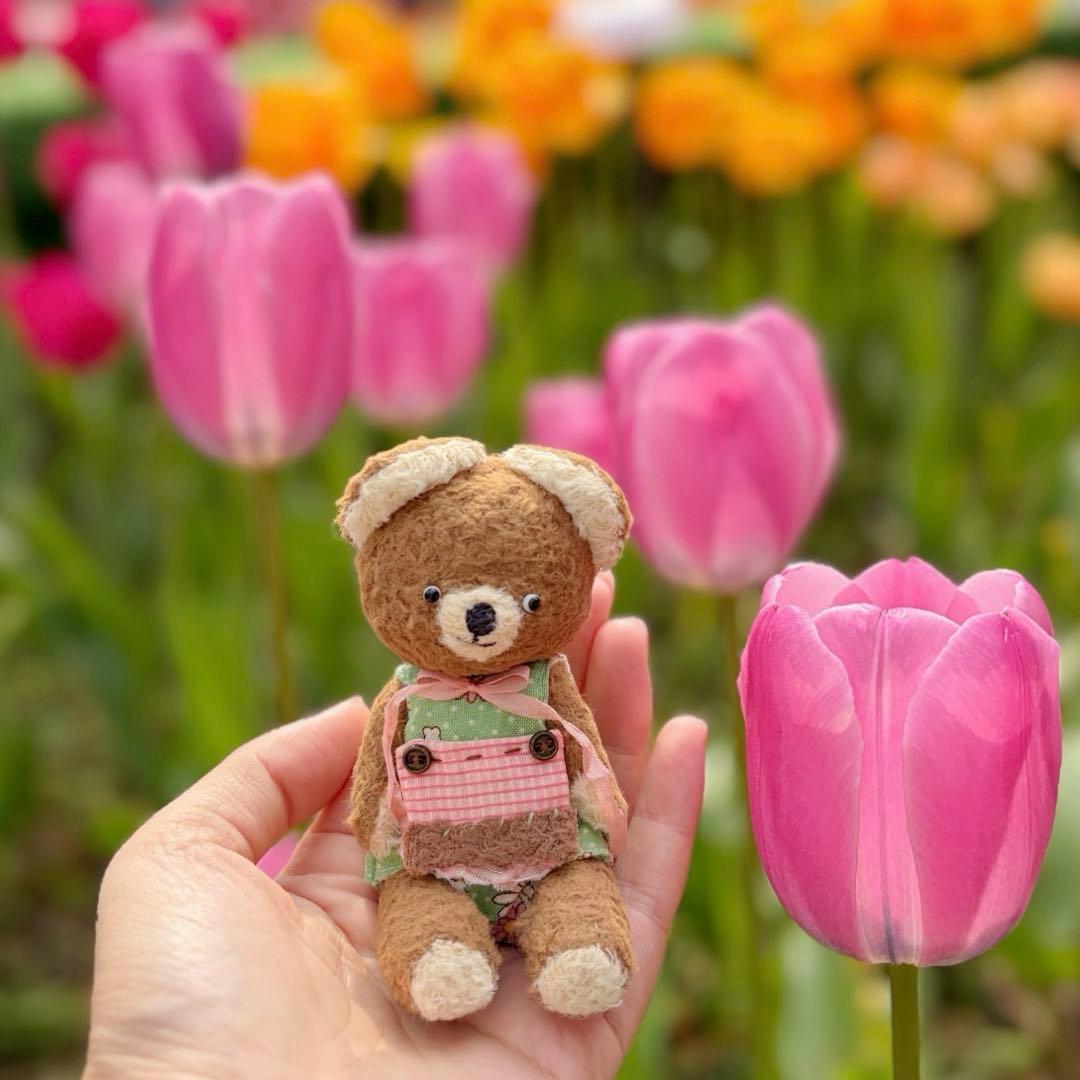 ブラウンベア アーティストベア テディベア くま 海外作家様 ハンドメイド