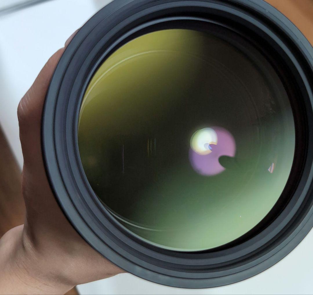 ニコンシグマ 150-600mm F5-6.3 DG OS HSM Sports