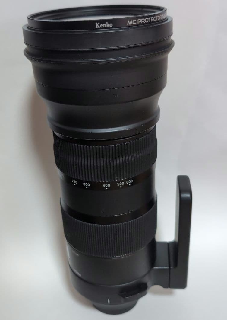 ニコンシグマ 150-600mm F5-6.3 DG OS HSM Sports
