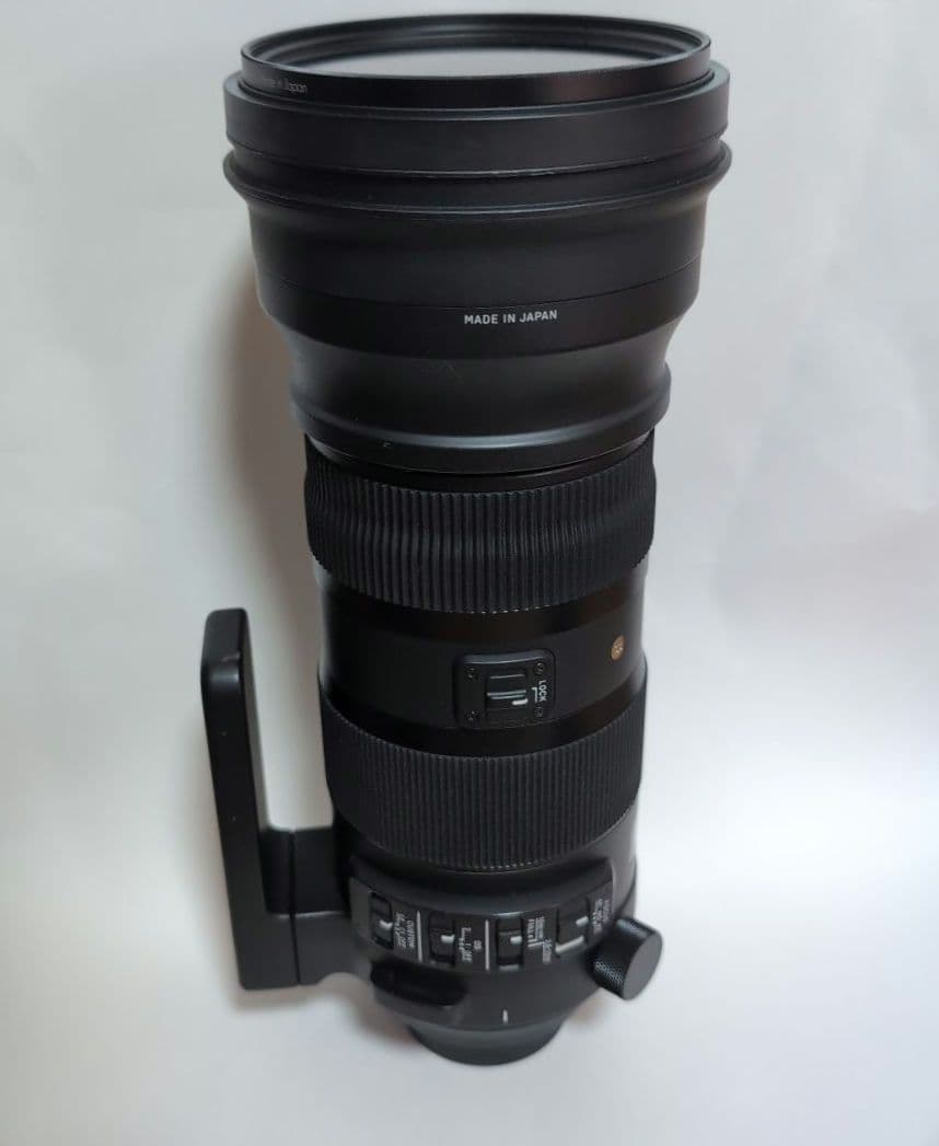 ニコンシグマ 150-600mm F5-6.3 DG OS HSM Sports