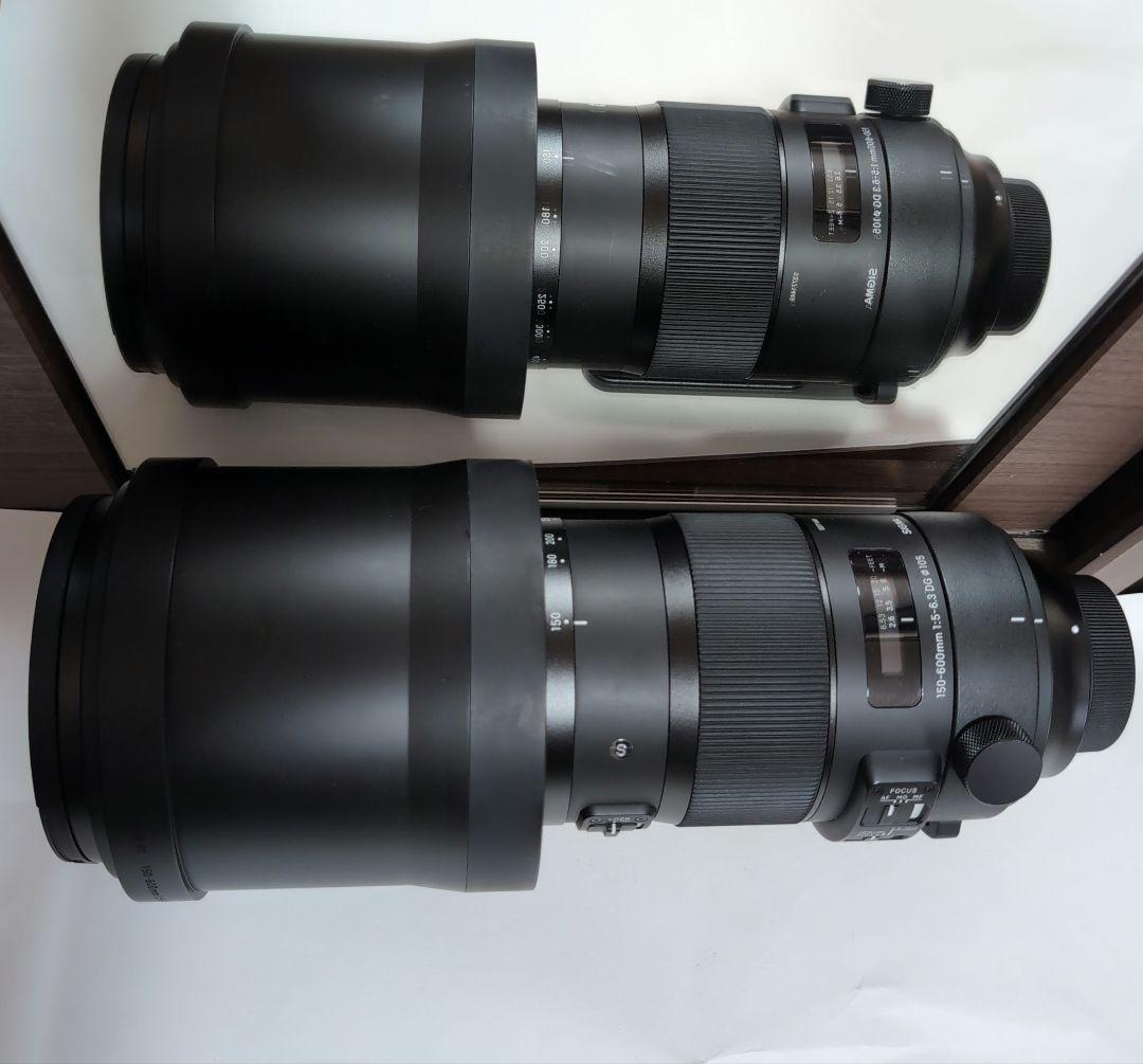 ニコンシグマ 150-600mm F5-6.3 DG OS HSM Sports