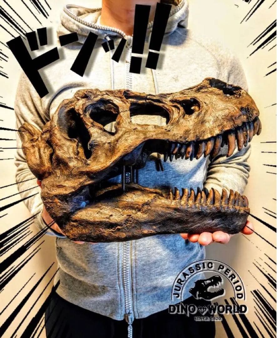 ✨大迫力✨ ティラノサウルス 恐竜の化石 頭骨 インテリア ジュラシックワールド