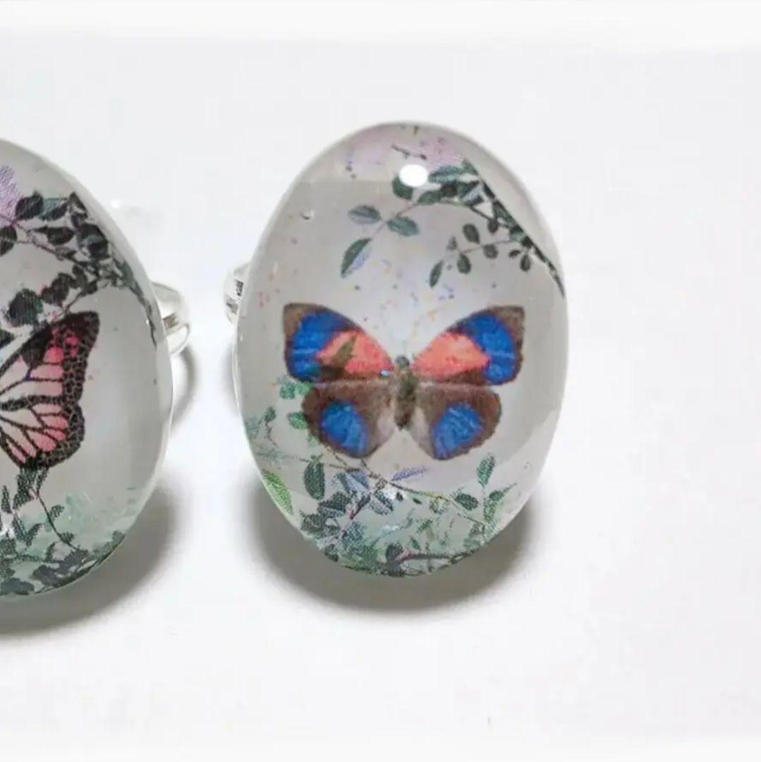 【184】リング／蝶々／レジン／オーバル