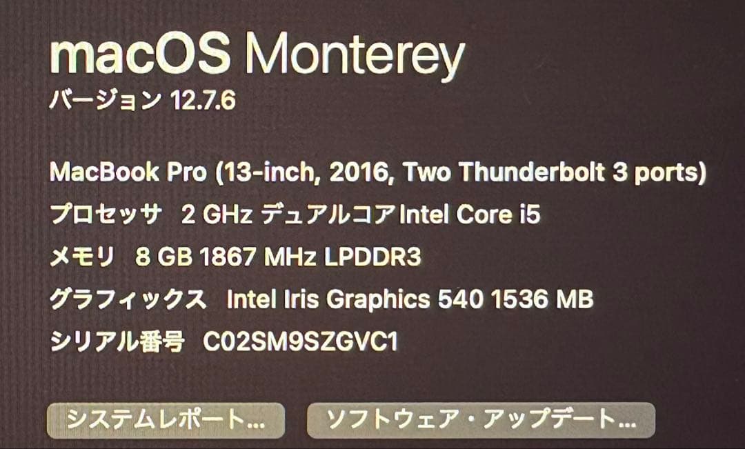 MacBook Pro 13インチ 2016年モデル (充電器、箱、付属します)