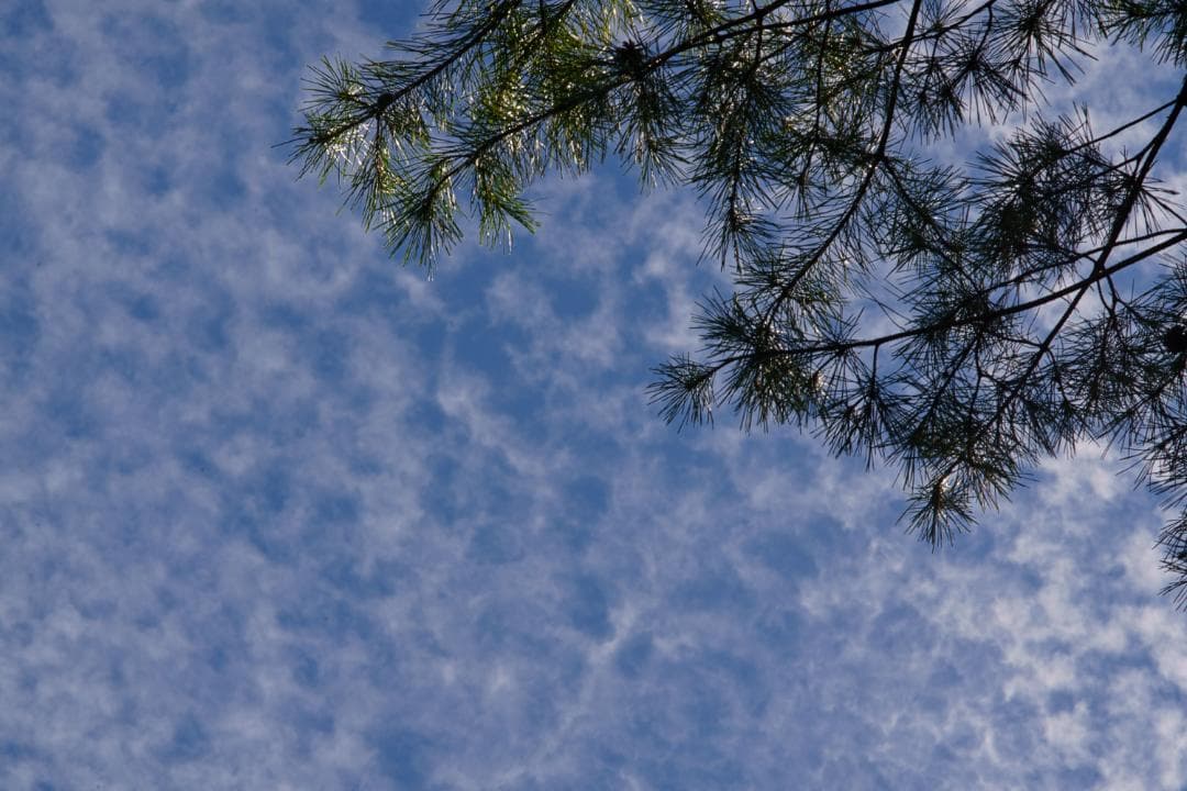 作例多数 Nikon ニコン New Nikkor 135mm F2.8