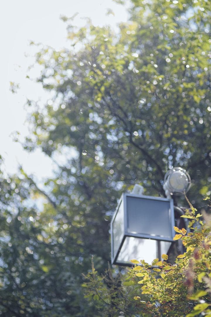 作例多数 Nikon ニコン New Nikkor 135mm F2.8