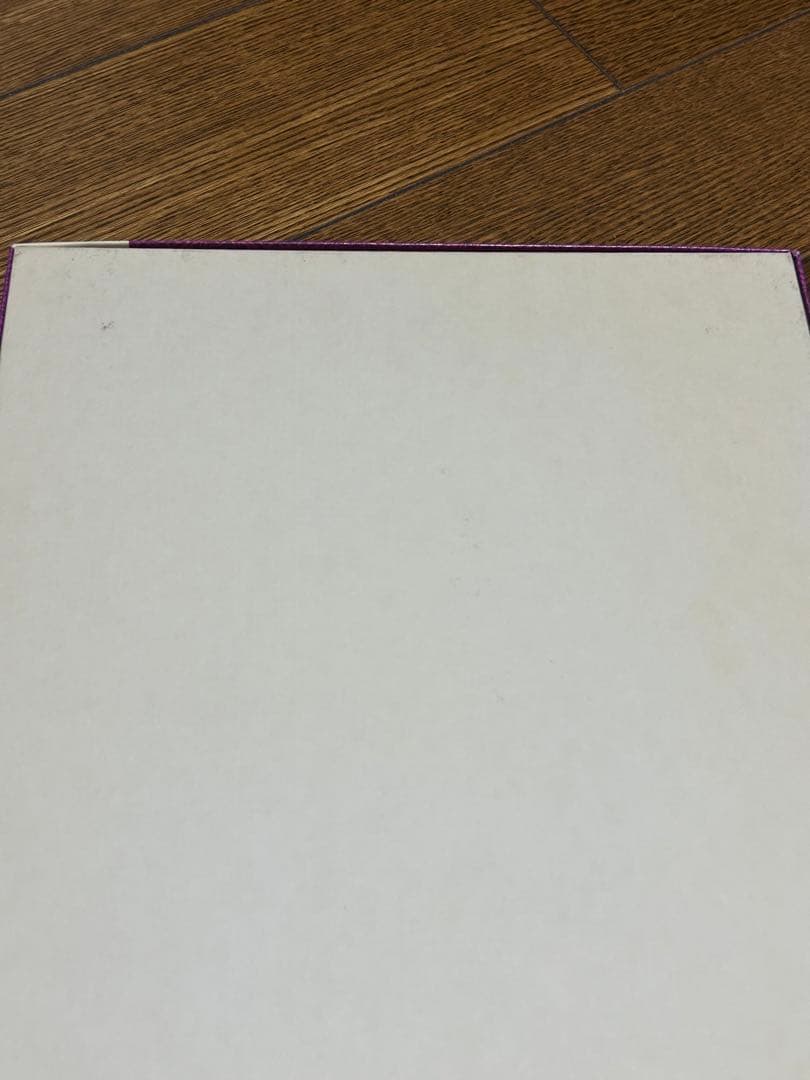 【東京ディズニーランド限定】ジグソーパズル1000ピース　アラジン　ジーニー