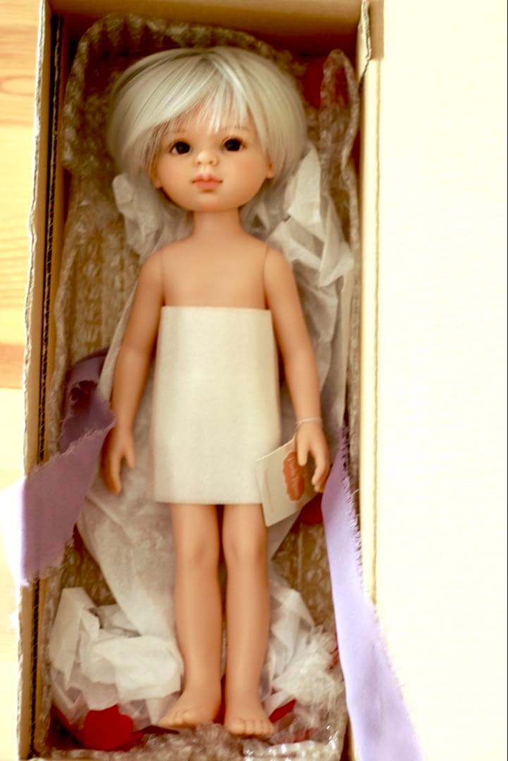 パオラドール本体　パオラレイナ