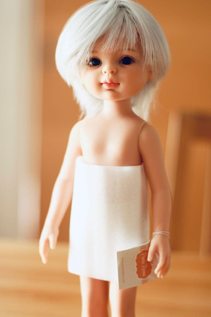 パオラドール本体　パオラレイナ