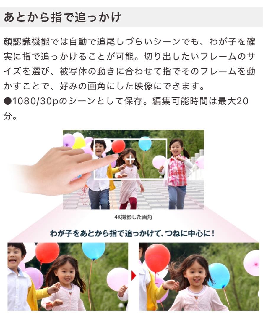 パナソニック 4Kビデオカメラ/交換バッテリー2個／別売りケースつき