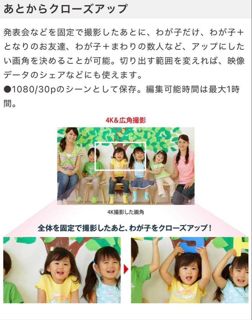 パナソニック 4Kビデオカメラ/交換バッテリー2個／別売りケースつき