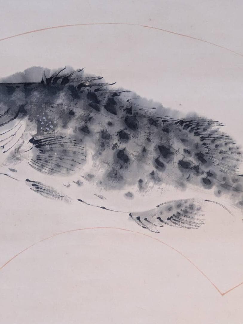 【真作】掛軸　魚図　水墨写生の逸品　迫力ある魚姿を描く　二重箱入　V83