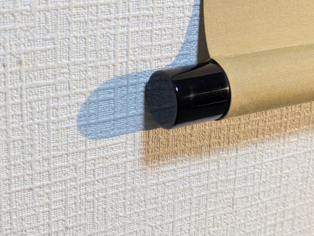 【真作】掛軸　魚図　水墨写生の逸品　迫力ある魚姿を描く　二重箱入　V83