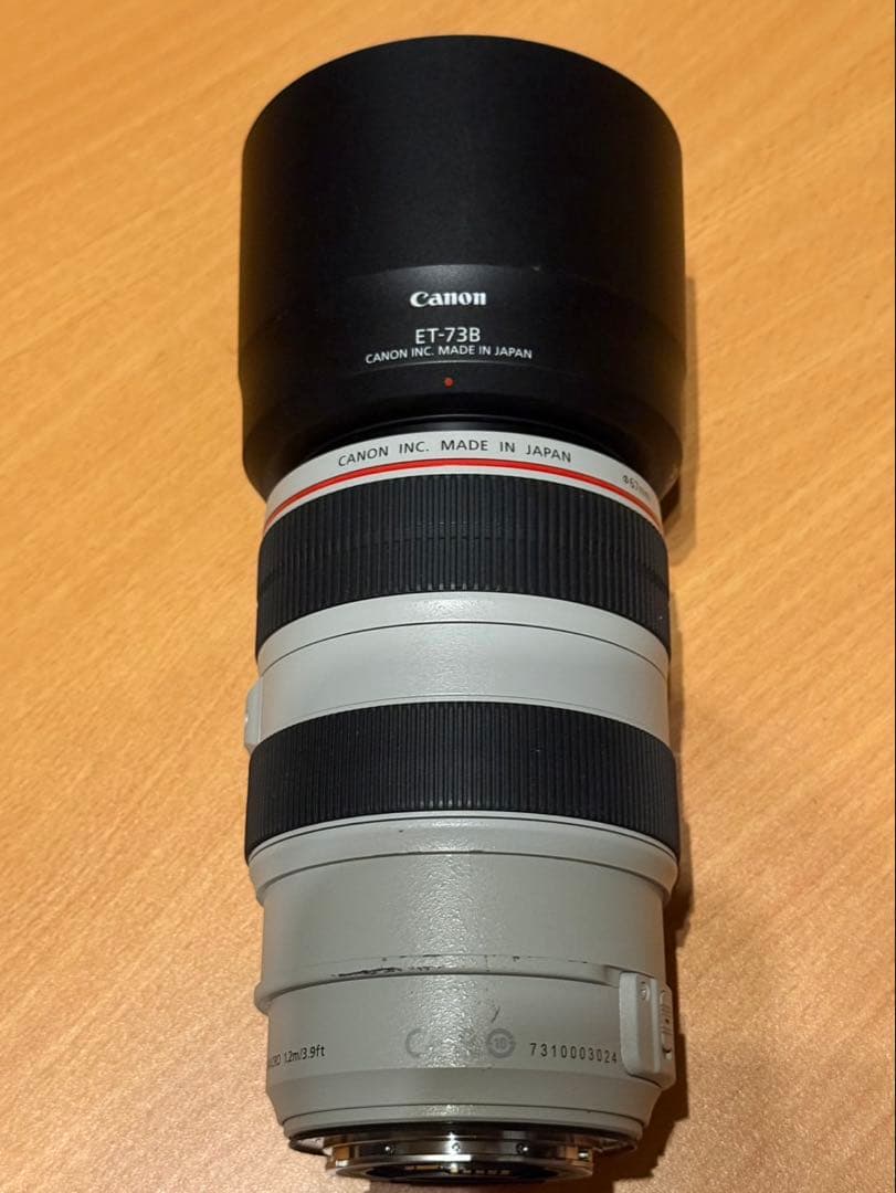 Canon EF 70-300mm F4-5.6L ISUSM 望遠ズームレンズ