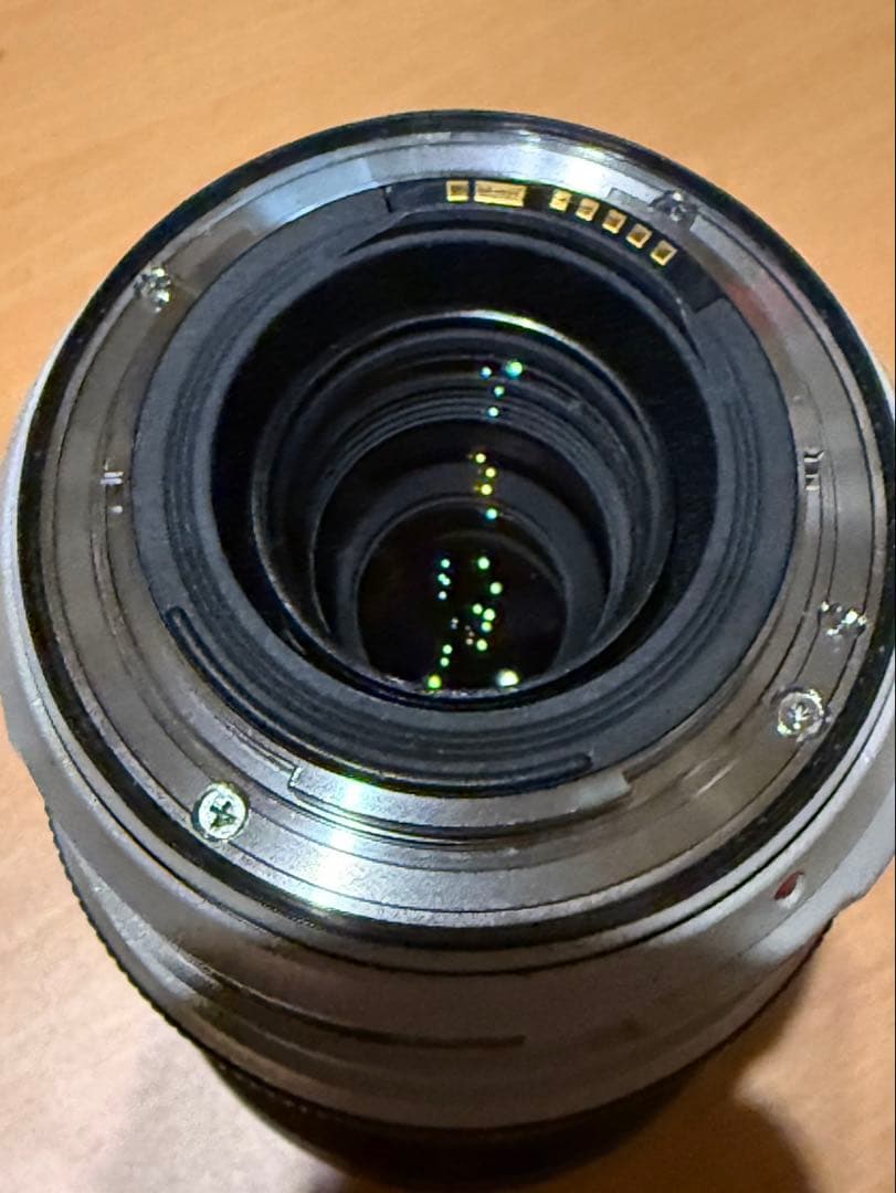 Canon EF 70-300mm F4-5.6L ISUSM 望遠ズームレンズ