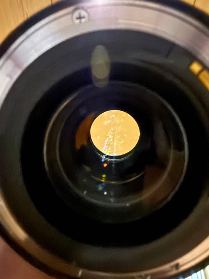Canon EF 70-300mm F4-5.6L ISUSM 望遠ズームレンズ