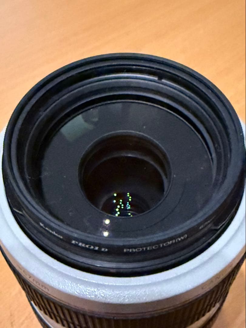 Canon EF 70-300mm F4-5.6L ISUSM 望遠ズームレンズ