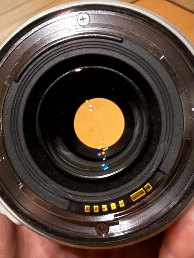 Canon EF 70-300mm F4-5.6L ISUSM 望遠ズームレンズ