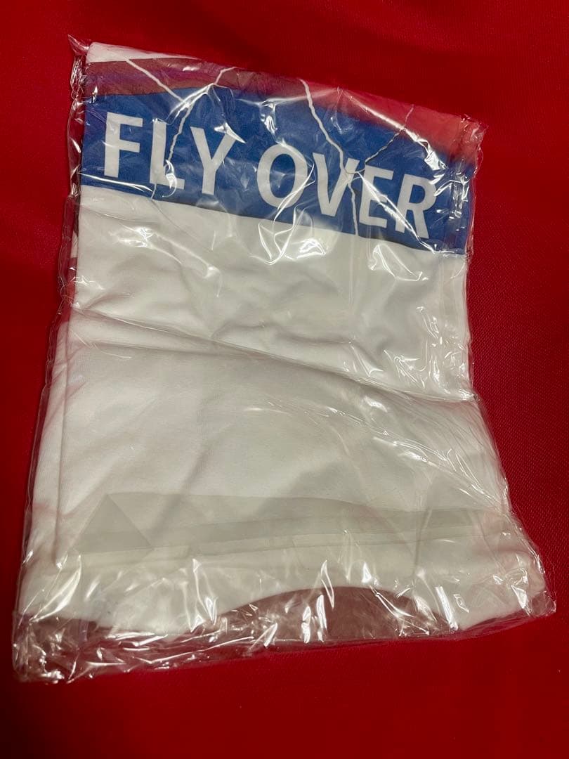 【Dead stock】 Dragon Ash FLY OVER Tシャツ XL