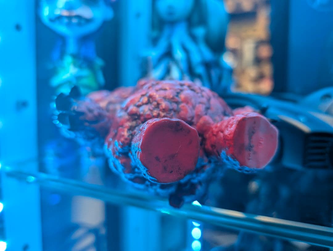 暗黒エンターテーメント 999MA 文化祭編