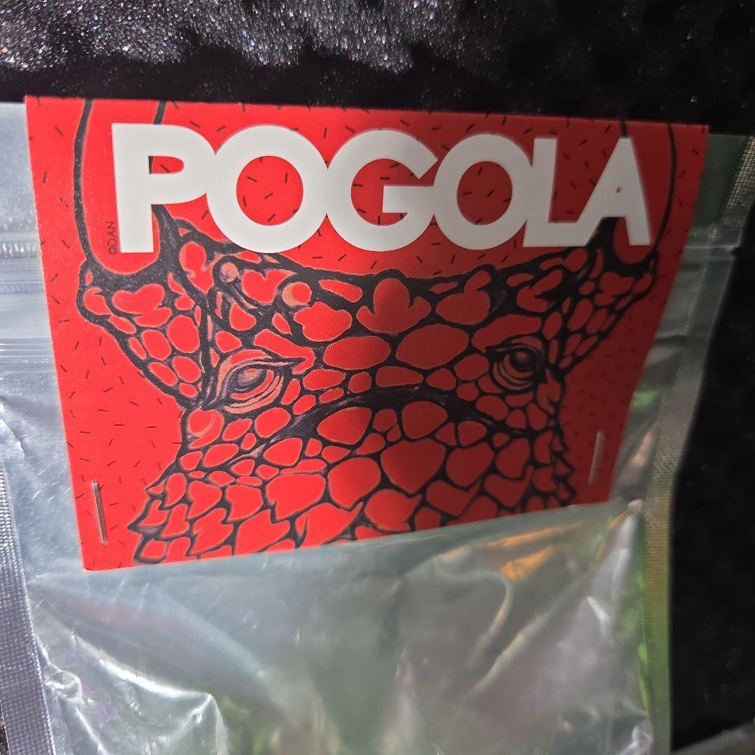 POGOLA ソフビ　希少