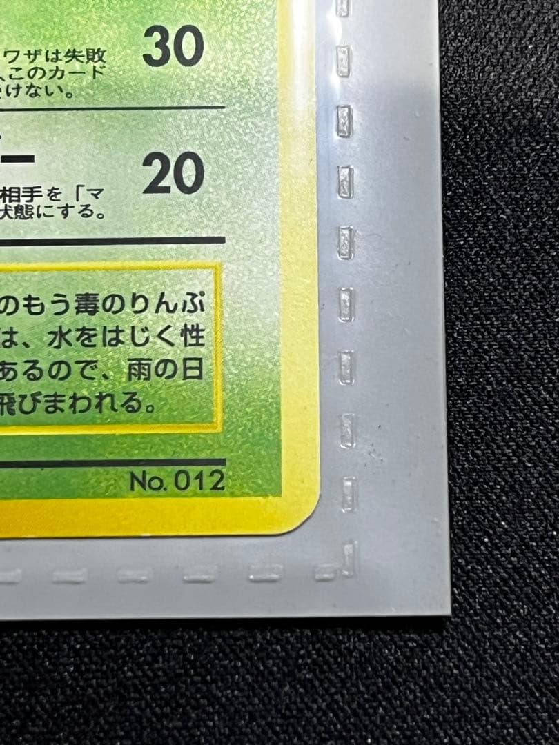 【旧裏】サザンアイランド　レインボーアイランド〜川辺〜　ポケモンカード