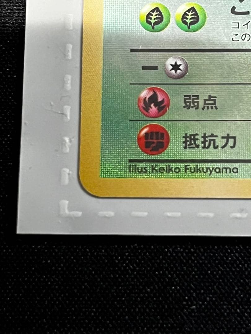 【旧裏】サザンアイランド　レインボーアイランド〜川辺〜　ポケモンカード