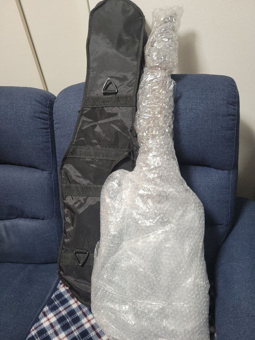 [新春セール]アイバニーズ　Ibanez RG421PB　動作品　おまけ盛り沢山