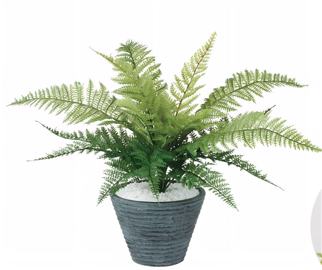 光触媒　人工観葉植物　ウォールグリーン　フェイクグリーン　レザーファン32