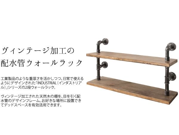 2段 ウォールラック ヴィンテージ風 カフェ風 配管 おしゃれ ブルックリン