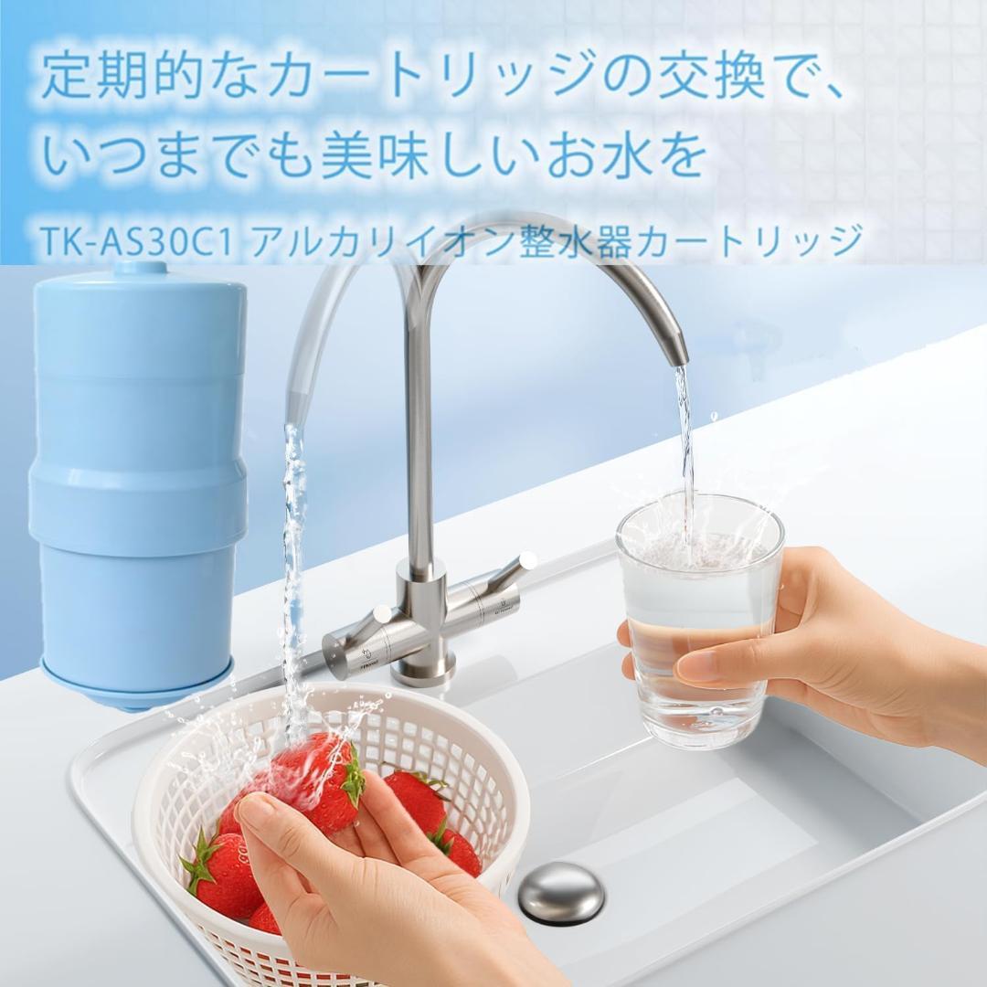 TKB6000C1 ビルトインアルカリイオン整水器用 カートリッジ ギフト