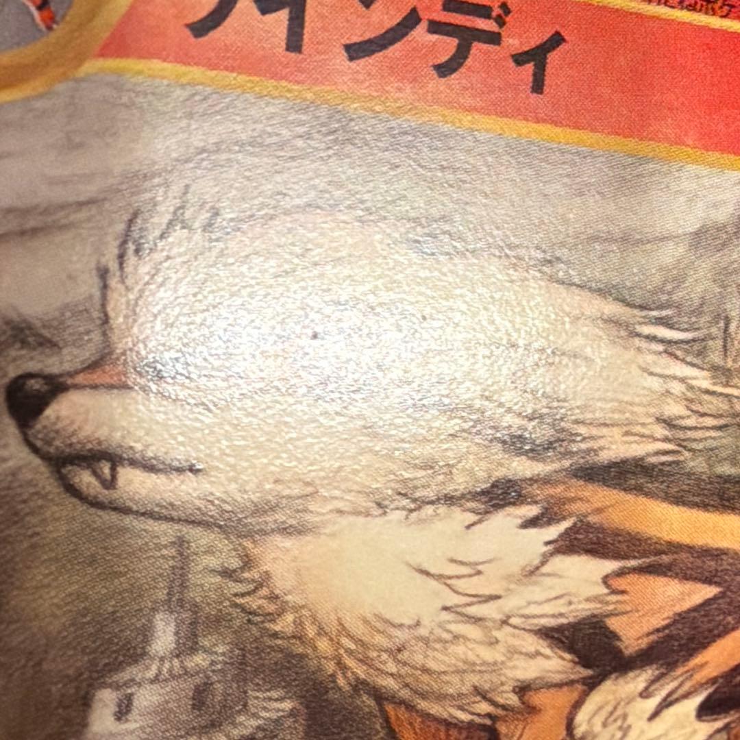 e ウインディ（Arcanine）　016/088 1ED