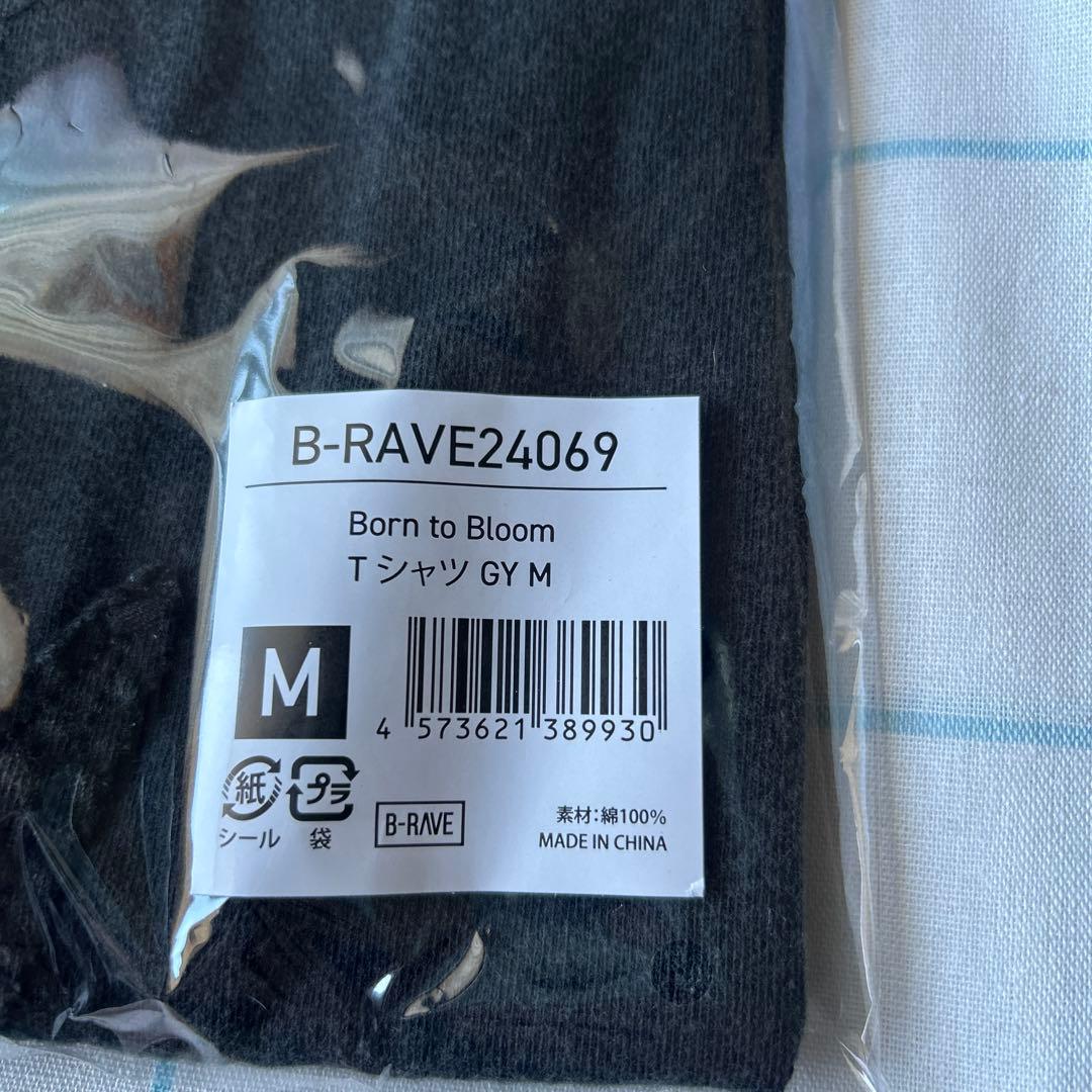 HANA ツアーTシャツ GY Mサイズ