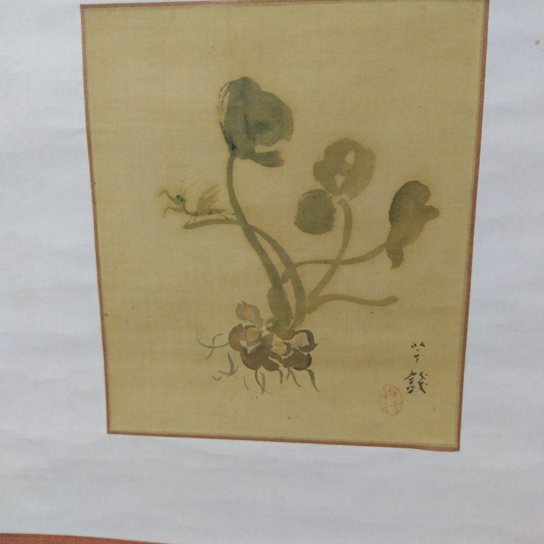日本画 掛軸 植物の絵画