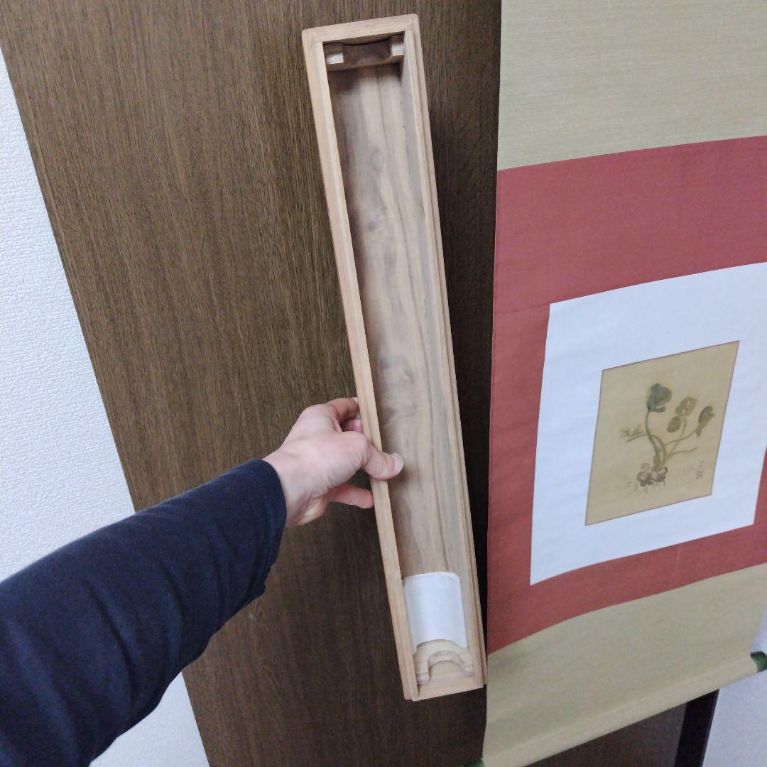 日本画 掛軸 植物の絵画