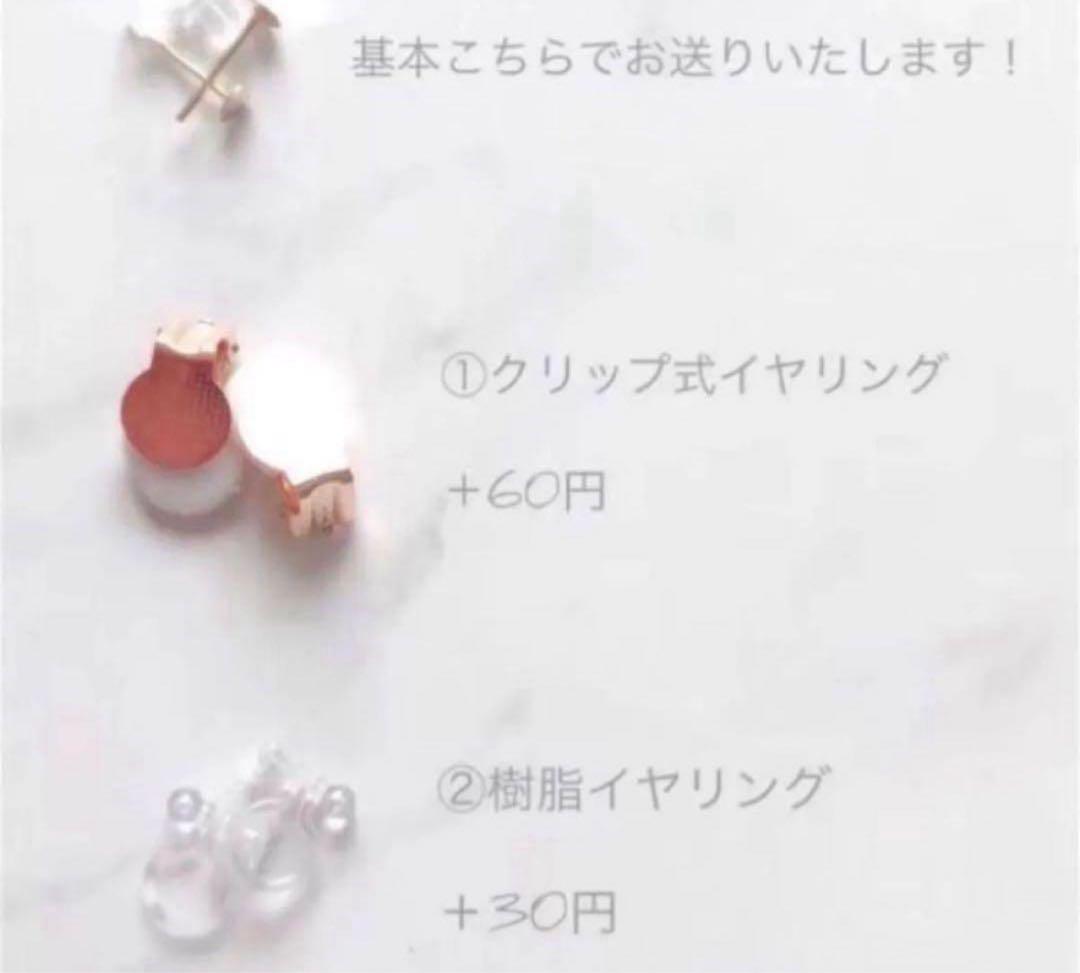 パープル系　ビジュー　ピアス　ハンドメイイヤリング変更可能