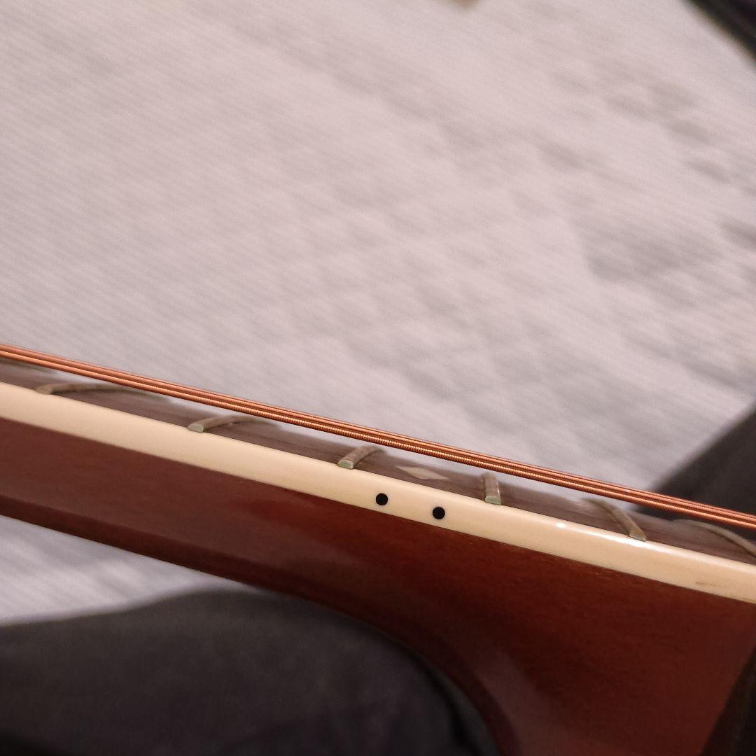 オベーション　セレブリティデラックス　CC247 厚いボディ