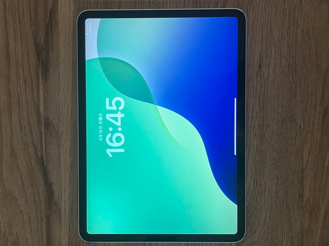 美品 iPad pro 11インチ バッテリー98% 第一世代 64gb