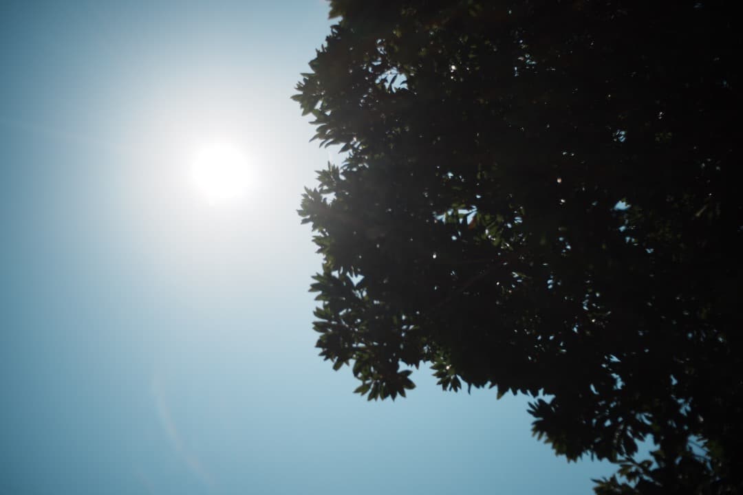 【美品】動作◎ SMC PENTAX-M 40mm F2.8 パンケーキ 586