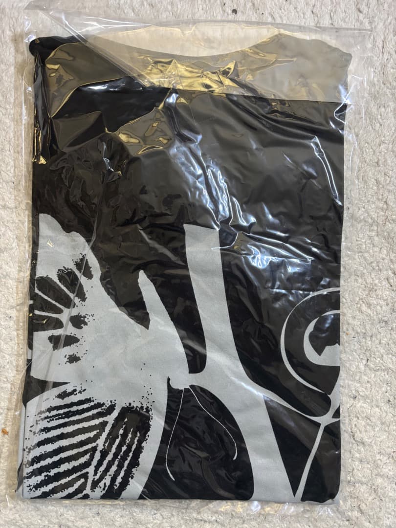 ALDIOUS Tシャツ Lサイズ 黒