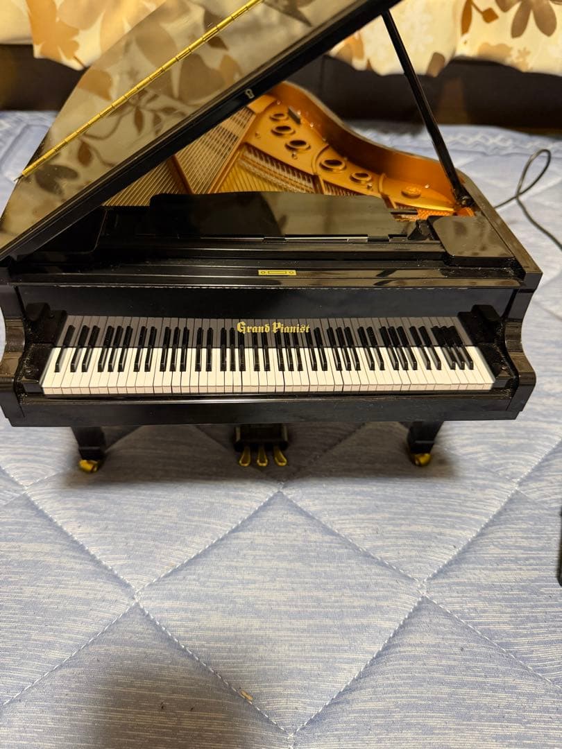 セガトイズ Grand Pianistミニピアノ 自動演奏