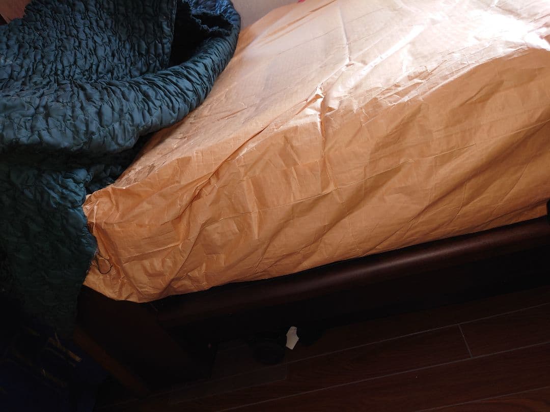 hide フランスベッド　電動　展示品　エゼックス　セミダブル