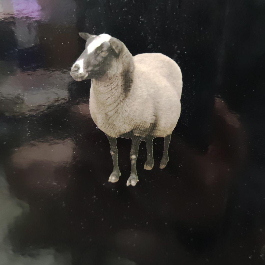 ヒツジのいらない敷きパッド　ファイヤーブースト